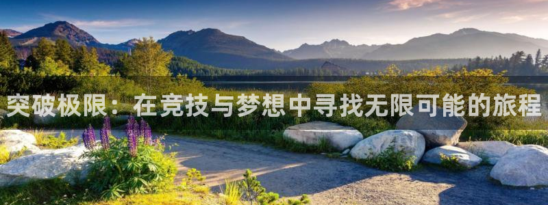 凯发官网下载平台:突破极限:在竞技与梦想中寻找无限可能的旅程