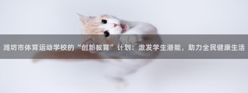 凯发官方正版app娱乐网站:潍坊市体育运动学校的“创新教育”