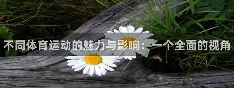 凯发官网下载招商:不同体育运动的魅力与影响:一个全面的视角